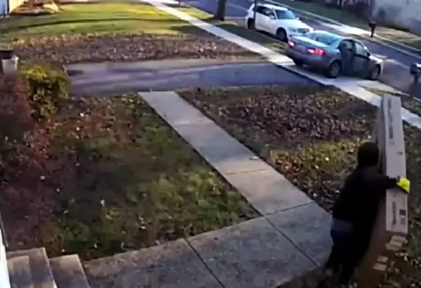 Porch Thief Struggles With Big Screen