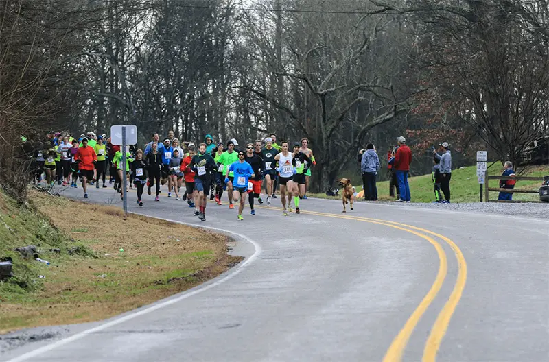 dog Half Marathon