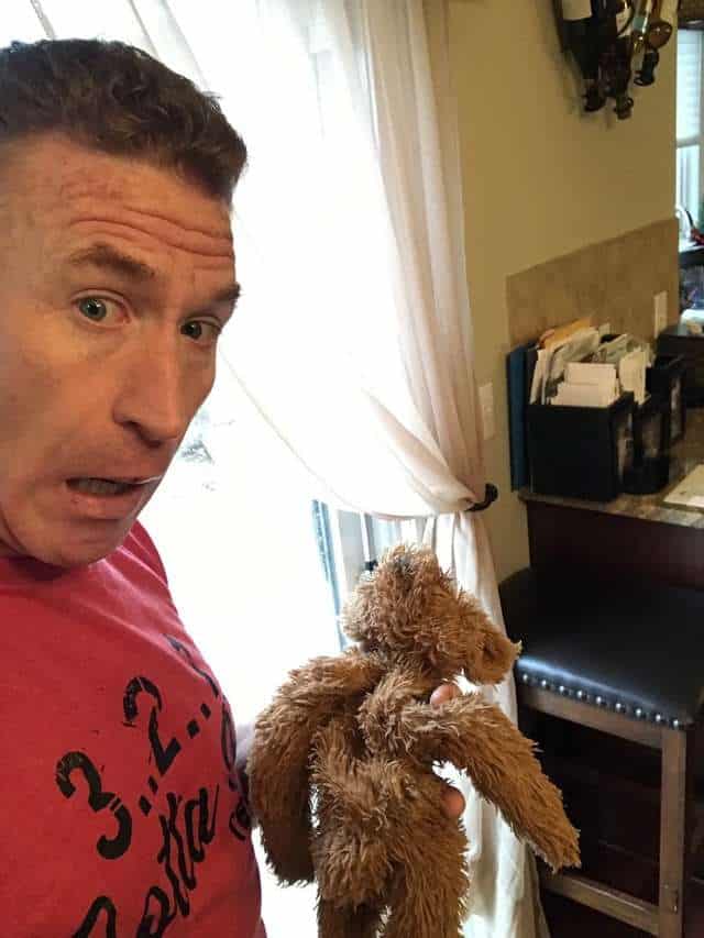 Dad Rescues Dogs Favorite Teddy Bear