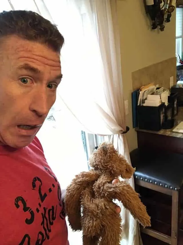Dad Rescues Dogs Favorite Teddy Bear