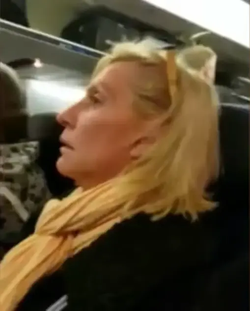 rude woman fat shaming passengers