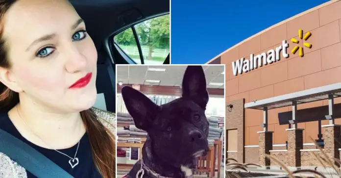 dog-was-smacked-by-strangers-kids