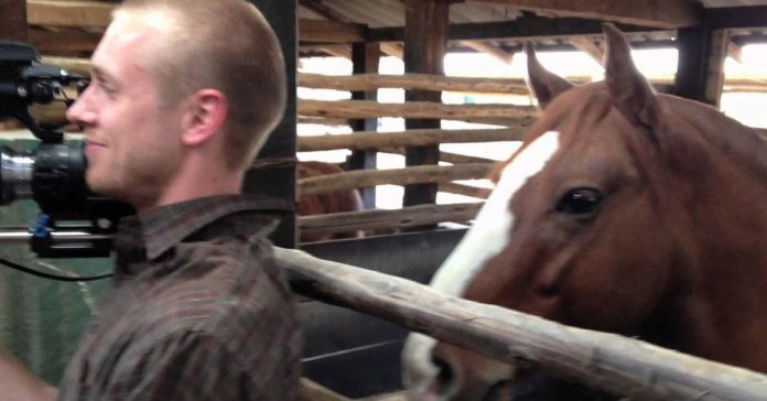 horse-disturbs-cameraman