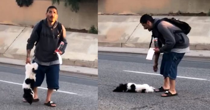 man-throws-dog-50-feet