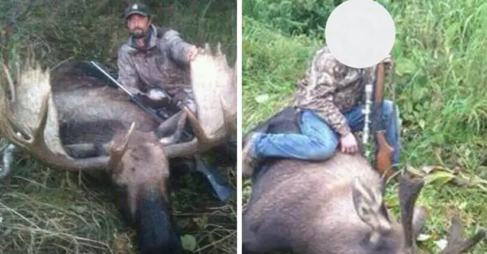 father-son-kills-mother-bear-cubs