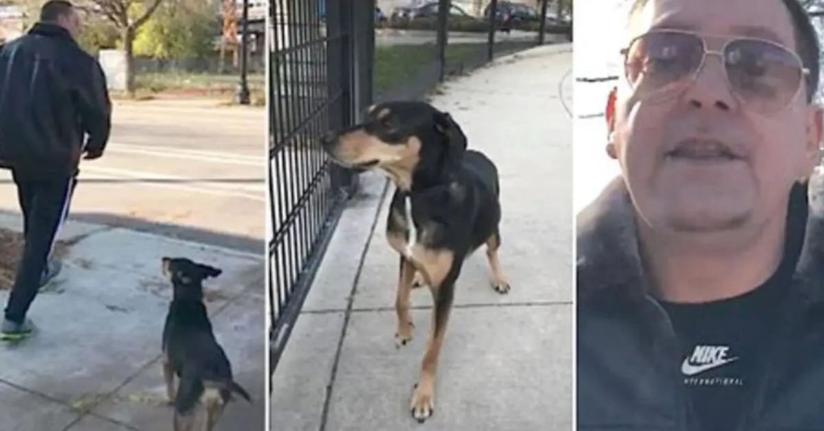 Man Flips Out When Angry Bystanders Confront Him For Leaving Dog
