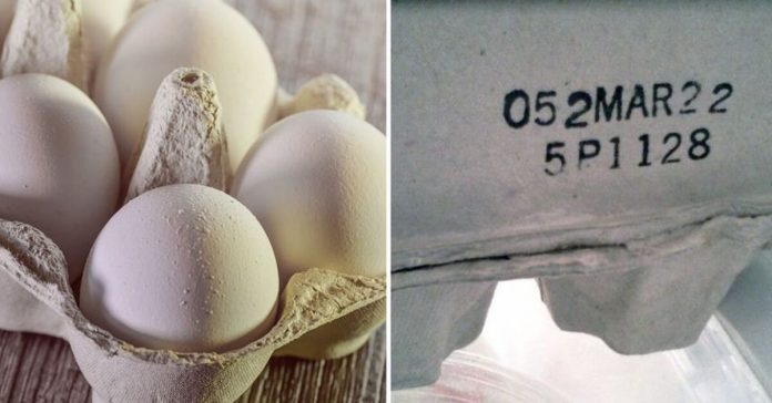 numbers-on-egg-carton