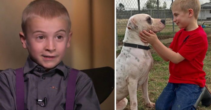 Roman-McConn-aspca-award