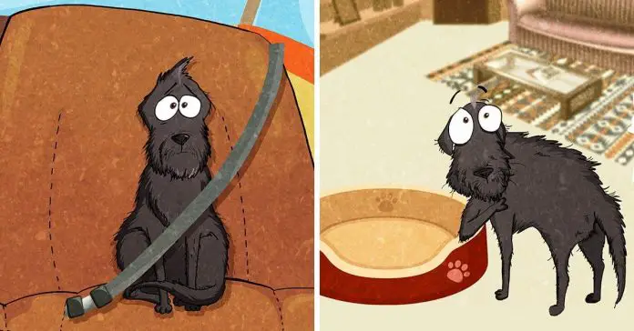 adopt-shelter-dog
