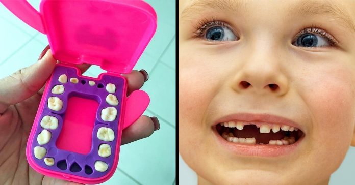 baby-teeth-stem-cells-1