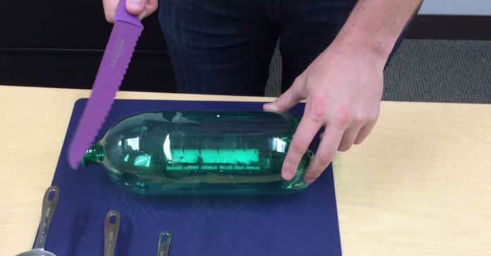 diy-Mosquito-trap
