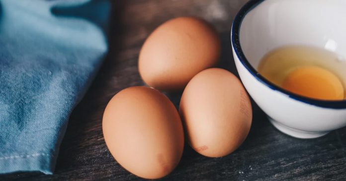 how-to-tell-if-an-egg-is-bad