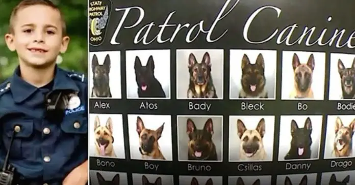 Brady-Snakovsky-k-9