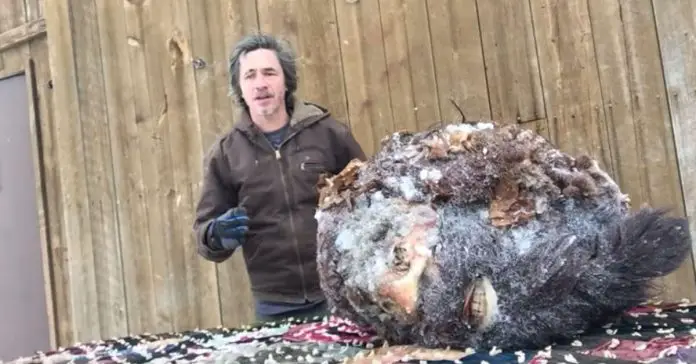 dad-killing-a-bigfoot