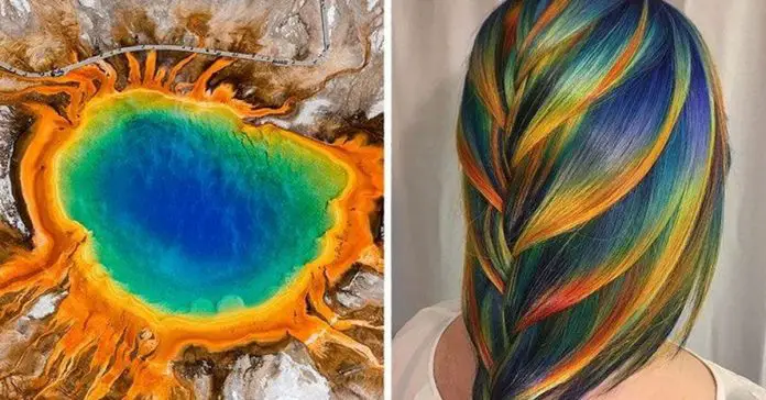 dye-nature-inspired-looks