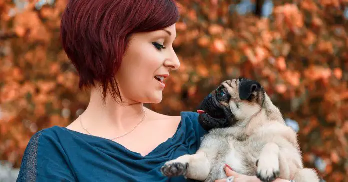 smart-people-talk-to-their-pets