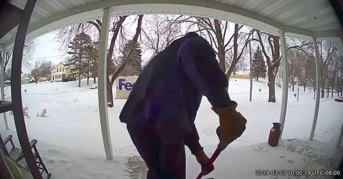 FedEx-Driver-Shovels-Snow-Widow